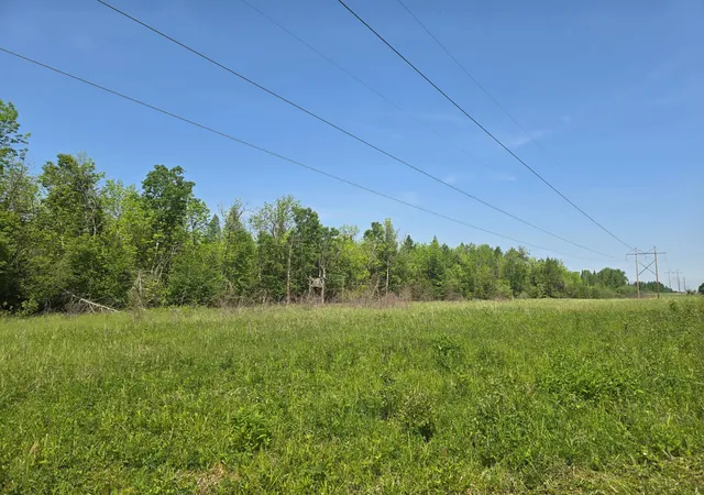 Homes for sale in Littlefork, MN | Tbd Town Road 166, Littlefork, MN 56653 | MLS# 6734834