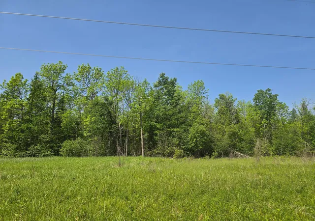 Homes for sale in Littlefork, MN | Tbd Town Road 166, Littlefork, MN 56653 | MLS# 6734834