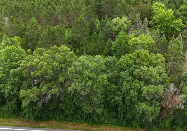 Photo 3 of Land for sale at Xxxx Hillton Rd, Little Falls, MN 56345 | MLS# 6737032 | Listing updated on 2026-06-19