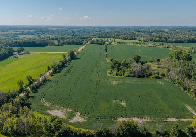 Photo 3 of Land for sale at Xxxx Canby Ave, Webster, MN 55088 | MLS# 6740183 | Listing updated on 2026-08-22