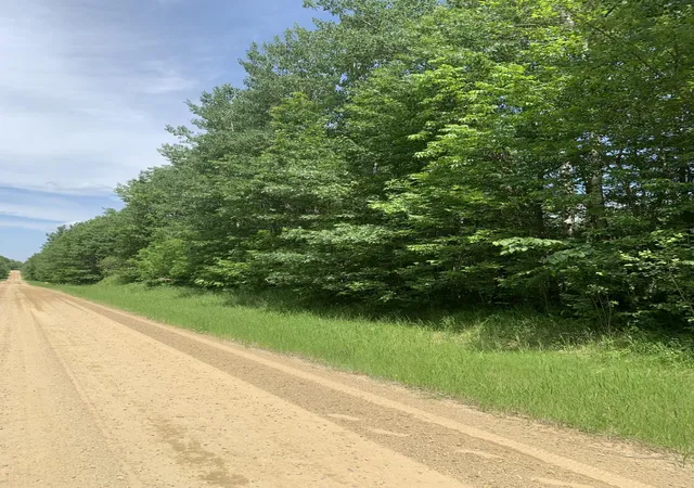 Photo 3 of Land for sale at Tbd 63rd Ave Nw, Walker, MN 56484 | MLS# 6741155 | Listing updated on 2026-06-19