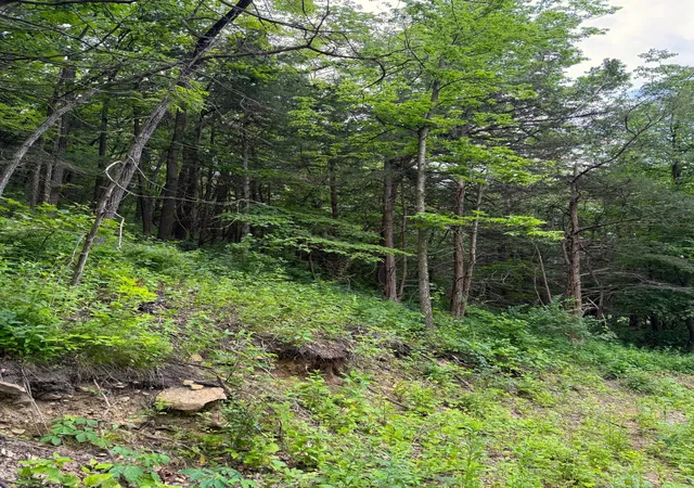 24th image of W12412 State Hwy 35, Stockholm, WI 54769 | MLS# 6745966