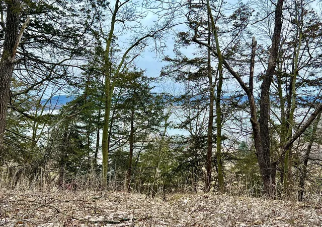4th image of W12412 State Hwy 35, Stockholm, WI 54769 | MLS# 6745966