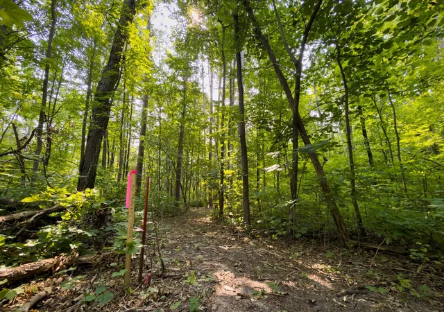 Photo 2 of Land for sale at Lot 2 Turtle Lake Dr Nw, Walker, MN 56484 | MLS# 6747048 | Listing updated on 2026-08-14