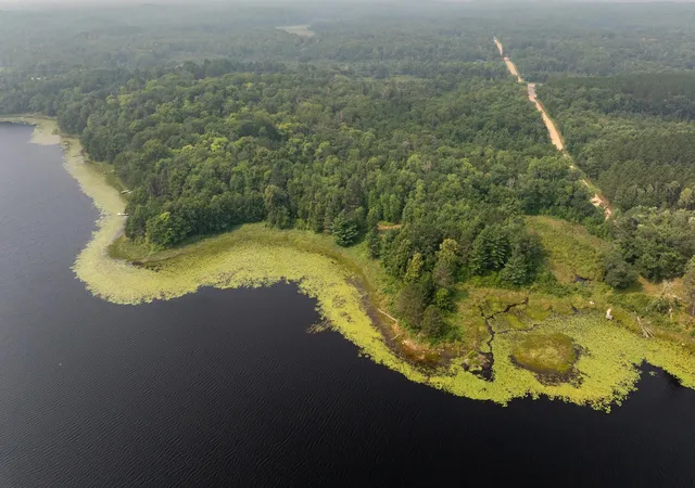 Photo 3 of Land for sale at Lot 2 Turtle Lake Dr Nw, Walker, MN 56484 | MLS# 6747048 | Listing updated on 2026-08-14