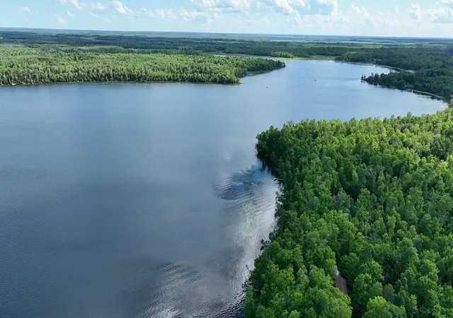 19th image of Tbd N Moose Lake Rd Ne, Pennington, MN 56663 | MLS# 6747600