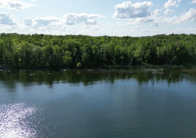 1st image of Tbd N Moose Lake Rd Ne, Pennington, MN 56663 | MLS# 6747600