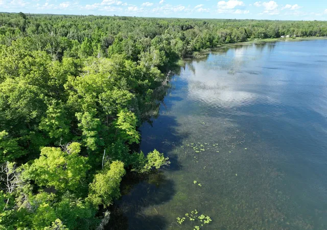 3rd image of Tbd N Moose Lake Rd Ne, Pennington, MN 56663 | MLS# 6747600