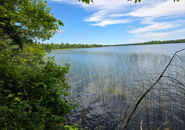 4th image of Tbd N Moose Lake Rd Ne, Pennington, MN 56663 | MLS# 6747600