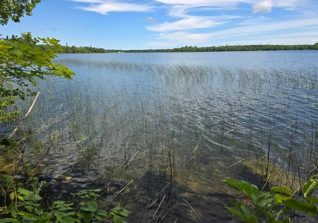 5th image of Tbd N Moose Lake Rd Ne, Pennington, MN 56663 | MLS# 6747600