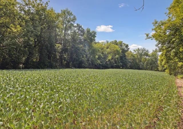 Photo 4 of Land for sale at 24X1 Holy Name Dr, Medina, MN 55340 | MLS# 6750065 | Listing updated on 2026-08-06