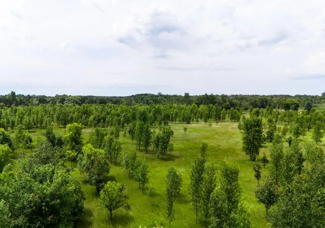 Homes for sale in Carlos, MN | Lot 2 Rutten Ln Ne, Carlos, MN 56319 | MLS# 6750293