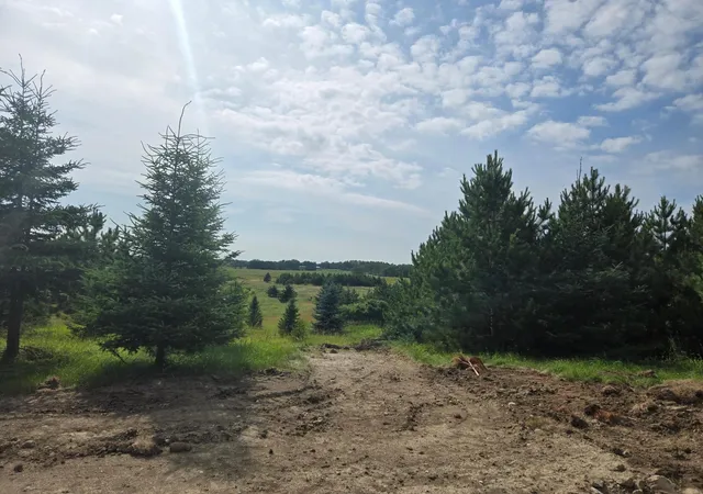 Homes for sale in Detroit Lakes, MN | 20332 County Hwy 25, Detroit Lakes, MN 56501 | MLS# 6751236