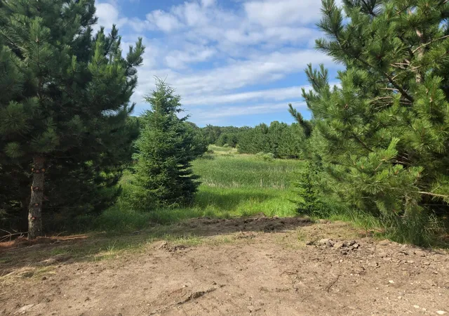 Homes for sale in Detroit Lakes, MN | 20332 County Hwy 25, Detroit Lakes, MN 56501 | MLS# 6751236