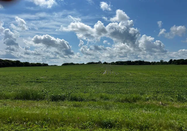 Photo 2 of Land for sale at Xx Tbd Mellgren Ln, Chaska, MN 55318 | MLS# 6751841 | Listing updated on 2026-09-14