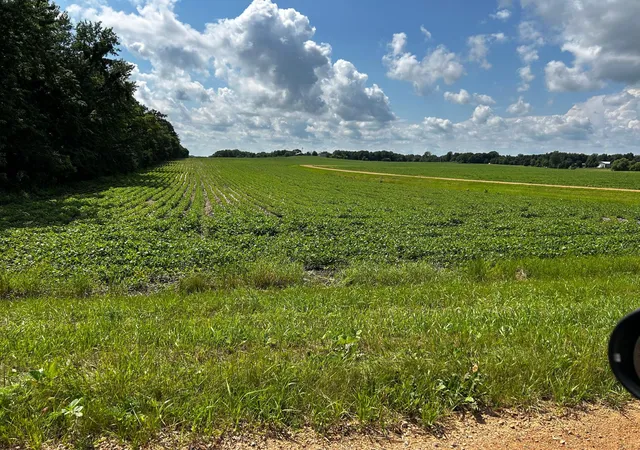 Photo 4 of Land for sale at Xx Tbd Mellgren Ln, Chaska, MN 55318 | MLS# 6751841 | Listing updated on 2026-09-14