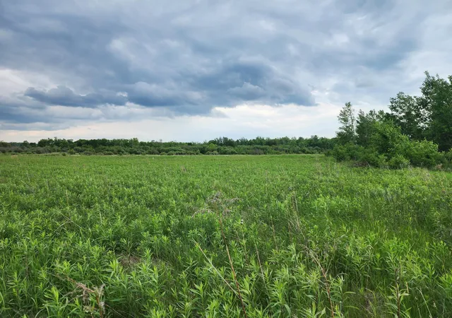 Homes for sale in Hinckley, MN | Tbd Rice Road, Hinckley, MN 55037 | MLS# 6752381