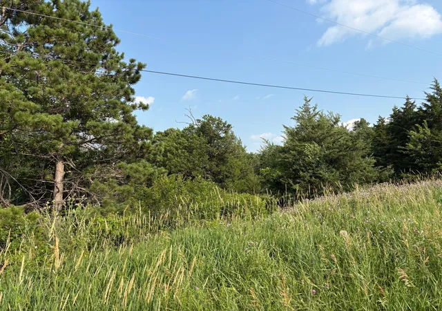 5th image of 32Xxx 67Th Ave, Cannon Falls, MN 55009 | MLS# 6753390