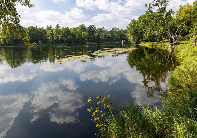 Photo 3 of Land for sale at River Frontage 338 Acres Tract A 13th Ave Sw, Pillager, MN 56473 | MLS# 6754226 | Listing updated on 2026-09-04