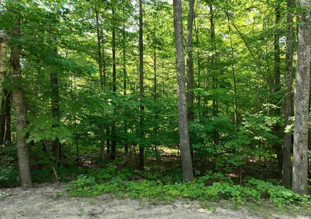 5th image of Tbd Hillerman Rd Nw, Hackensack, MN 56452 | MLS# 6756440