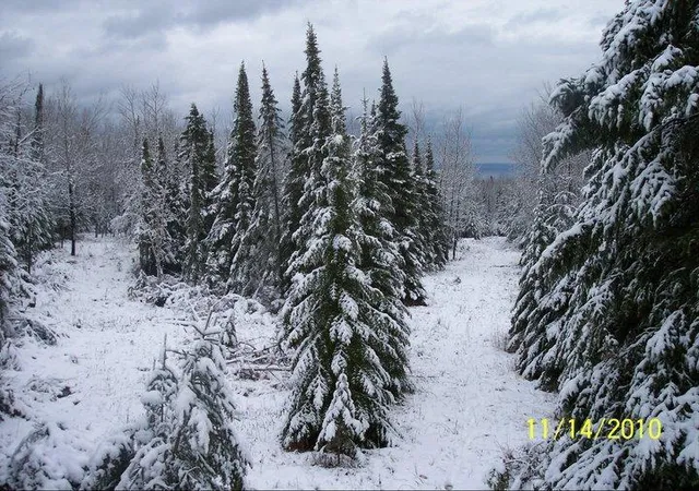 3rd image of Xx Stanley Rd, Two Harbors, MN 55616 | MLS# 6757210