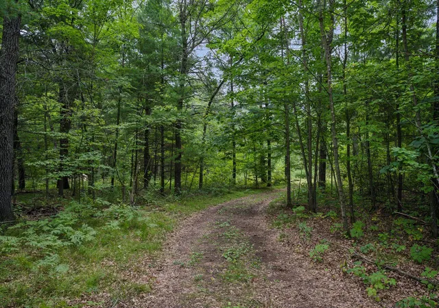 Homes for sale in Grantsburg, WI | 15204 State Road 70, Grantsburg, WI 54840 | MLS# 6757439
