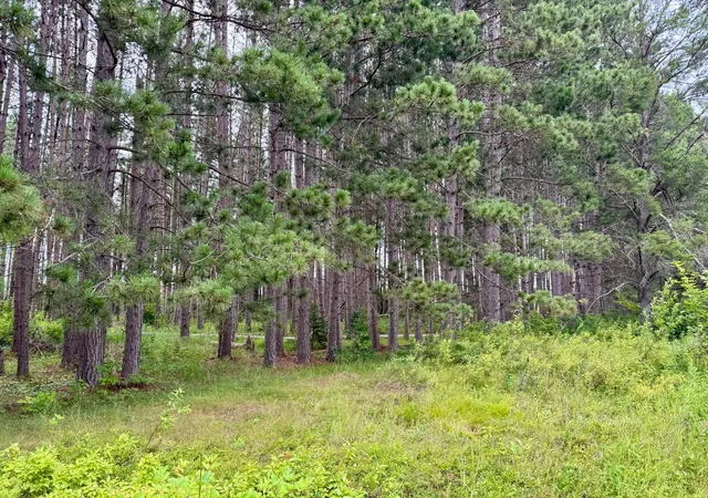 1st image of Tbd 20th St Sw 20 St Sw, Pine River, MN 56474 | MLS# 6757775