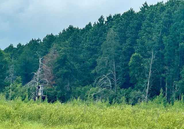 2nd image of Tbd 20th St Sw 20 St Sw, Pine River, MN 56474 | MLS# 6757775