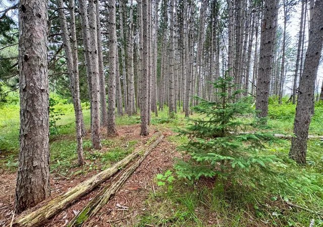 4th image of Tbd 20Th St Sw 20 St Sw, Pine River, MN 56474 | MLS# 6757775
