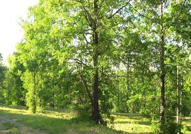 Photo 2 of Sale Pending at 83xxx - Lot 6 Ashwabay Hts Rd, Bayfield, WI 54814 | MLS# 6758126 | Listing updated on 2026-07-27