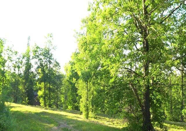 Photo 3 of Sale Pending at 83xxx - Lot 6 Ashwabay Hts Rd, Bayfield, WI 54814 | MLS# 6758126 | Listing updated on 2026-07-27