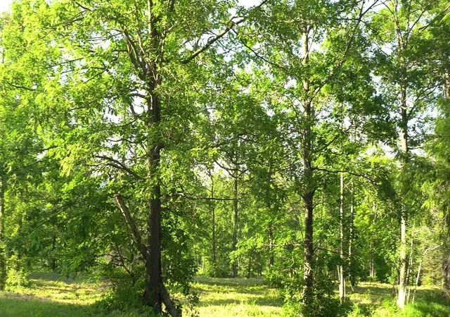 Homes for sale in Bayfield, WI | 83xxx   Lot 6 Ashwabay Heights Rd, Bayfield, WI 54814 | MLS# 6758126