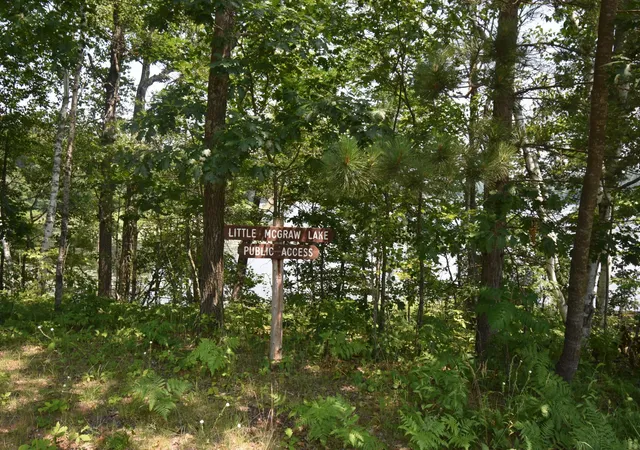 Homes for sale in Danbury, WI | 332xx Mcgraw Lake Road, Danbury, WI 54830 | MLS# 6758647