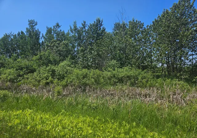 Homes for sale in Aitkin, MN | Xxx County Road 32, Aitkin, MN 56431 | MLS# 6759014