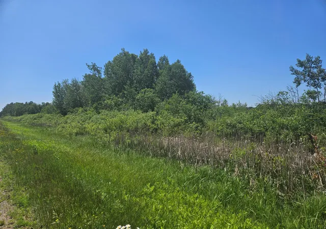 Homes for sale in Aitkin, MN | Xxx County Road 32, Aitkin, MN 56431 | MLS# 6759014