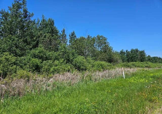 Homes for sale in Aitkin, MN | Xxx County Road 32, Aitkin, MN 56431 | MLS# 6759014
