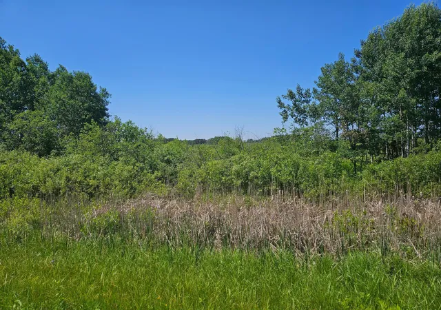 Homes for sale in Aitkin, MN | Xxx County Road 32, Aitkin, MN 56431 | MLS# 6759014