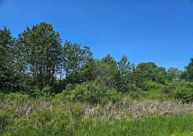 Homes for sale in Aitkin, MN | Xxx County Road 32, Aitkin, MN 56431 | MLS# 6759014