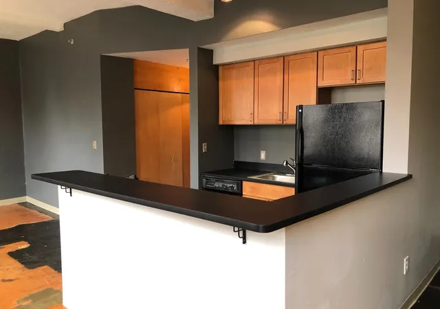 Homes for sale in Saint Paul, MN | 488 Wabasha St N #201, Saint Paul, MN 55102 | MLS# 6759706