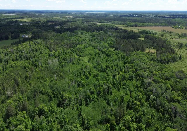Photo 3 of Land for sale at Xxxx 159Th Ave, Sebeka, MN 56477 | MLS# 6760117 | Listing updated on 2026-08-05