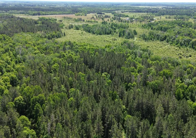 Photo 4 of Land for sale at Xxxx 159Th Ave, Sebeka, MN 56477 | MLS# 6760117 | Listing updated on 2026-08-05
