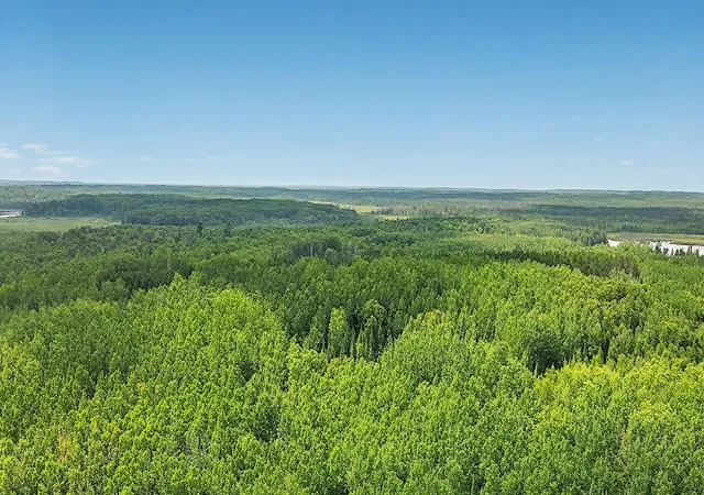 Homes for sale in Effie, MN | 25384 County Road 523, Effie, MN 56639 | MLS# 6763294