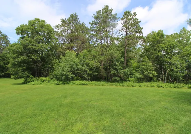 Homes for sale in Emily, MN | Tract A County Road 1, Emily, MN 56447 | MLS# 6763918