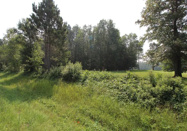 Homes for sale in Emily, MN | Tract B County Road 1, Emily, MN 56447 | MLS# 6763984