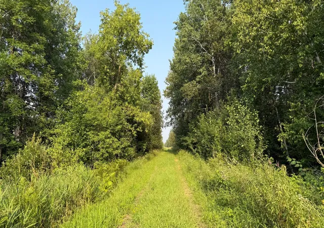 2nd image of Tbd5 Sunflower Rd, Kelliher, MN 56650 | MLS# 6765797