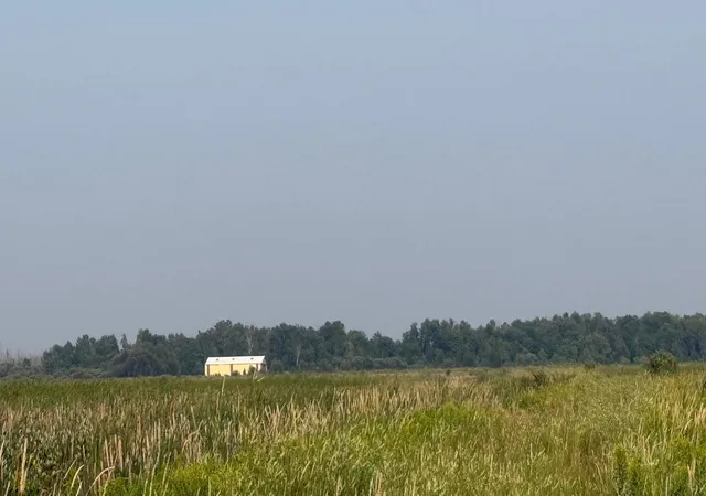 3rd image of Tbd5 Sunflower Rd, Kelliher, MN 56650 | MLS# 6765797