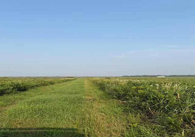 5th image of Tbd5 Sunflower Rd, Kelliher, MN 56650 | MLS# 6765797