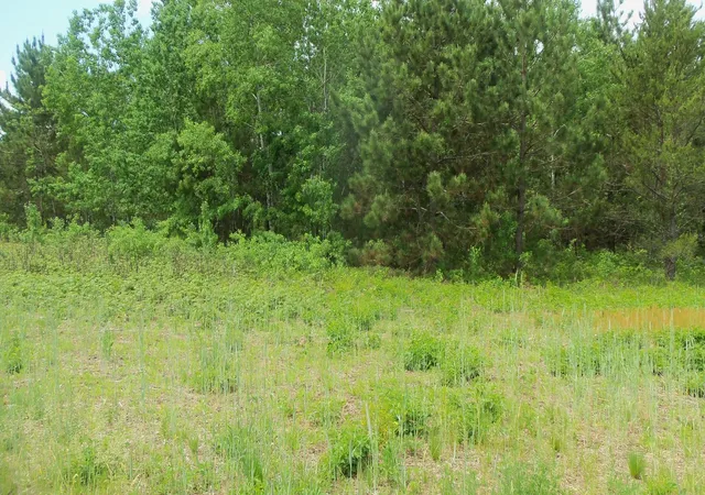 3rd image of Lot 21 Maple Ln, Siren, WI 54872 | MLS# 6765887