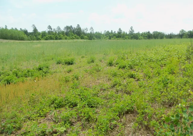 4th image of Lot 21 Maple Ln, Siren, WI 54872 | MLS# 6765887