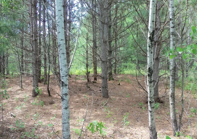 5th image of Lot 21 Maple Ln, Siren, WI 54872 | MLS# 6765887